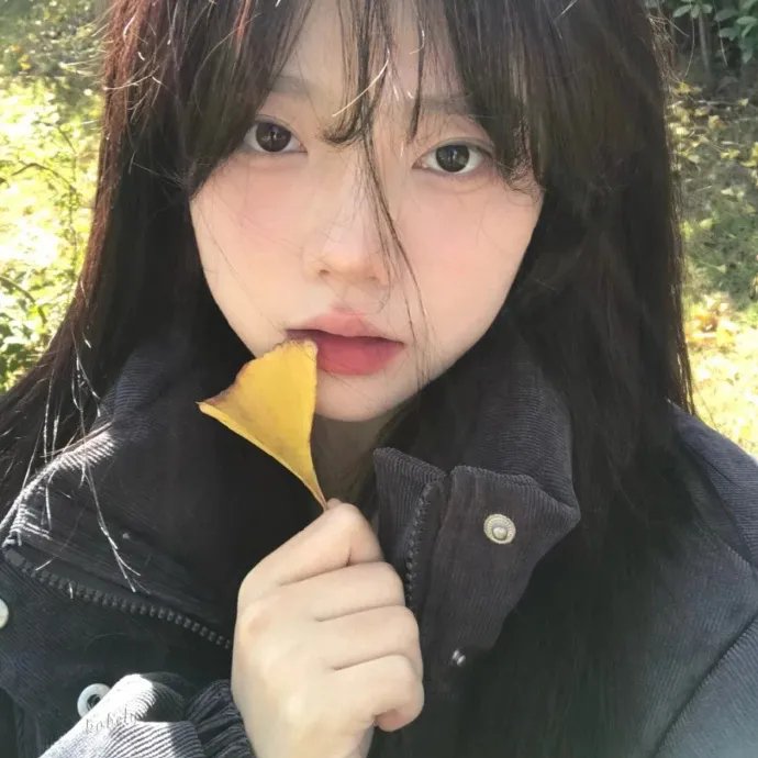 罗马假日